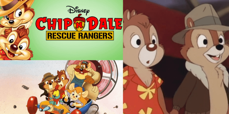Detail Chip And Dale Voice Actors Nomer 15