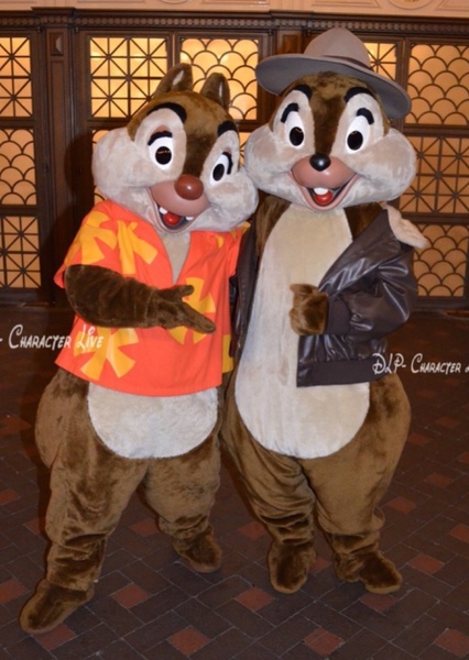 Detail Chip And Dale Voice Actors Nomer 52