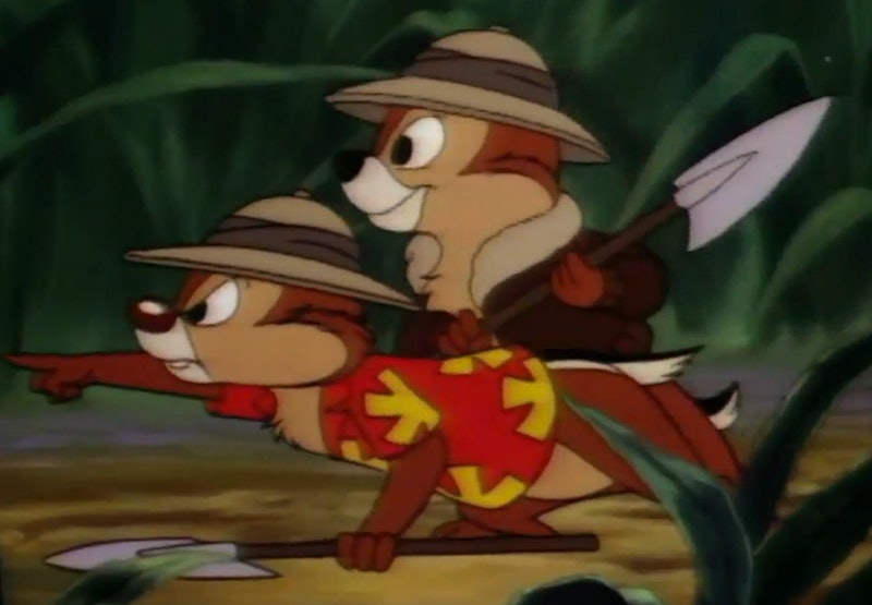 Detail Chipmunk Chip And Dale Nomer 43