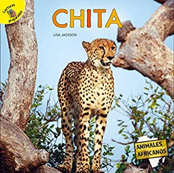 Detail Chita Animal Images Nomer 33