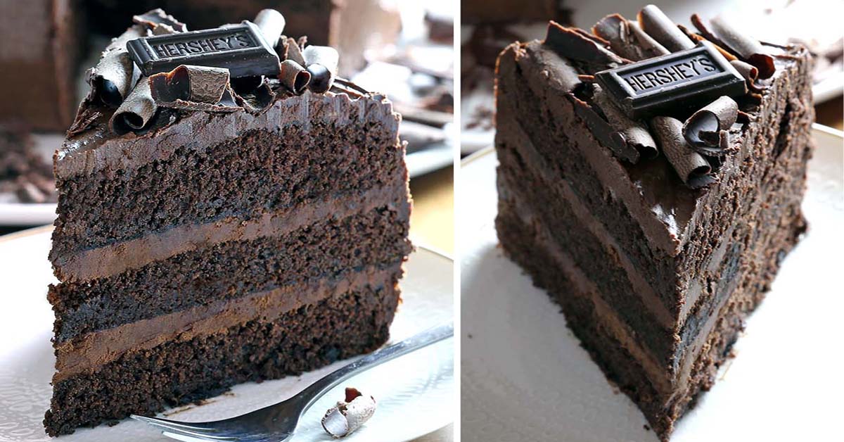 Detail Choco Cake Photo Nomer 37
