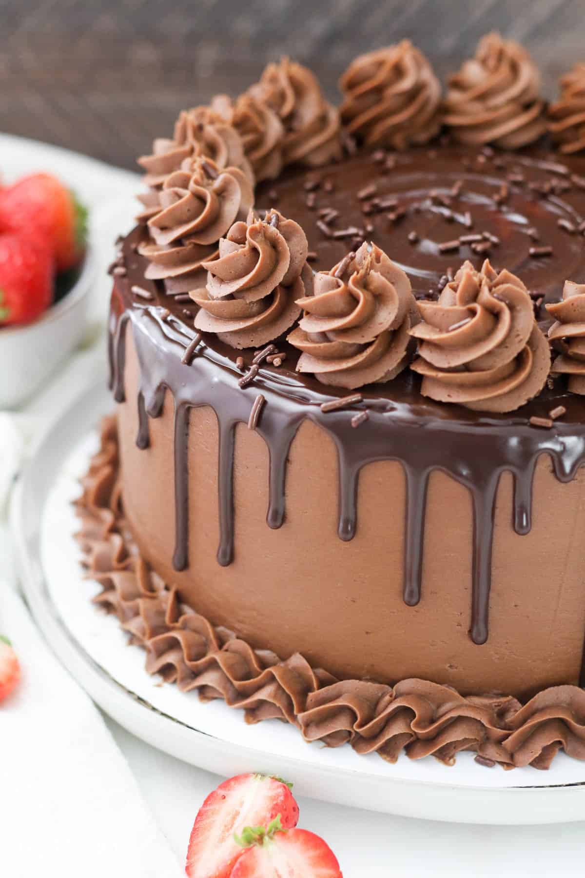 Detail Choco Cake Photo Nomer 40