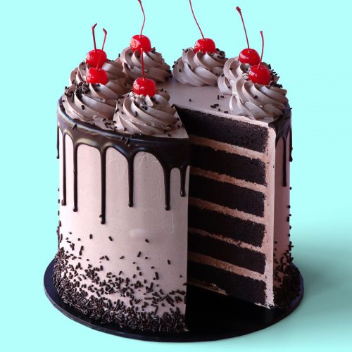 Detail Choco Cake Pic Nomer 5