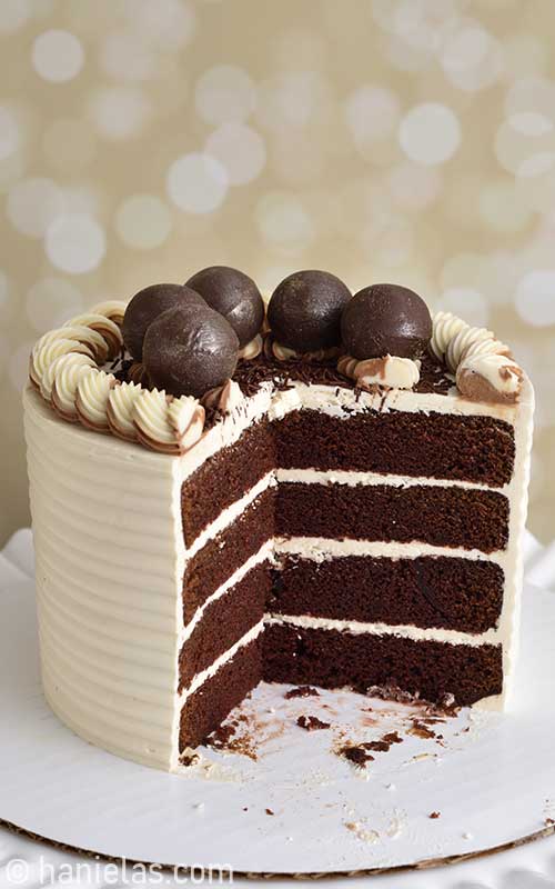 Detail Chocolate Cake Photo Nomer 36