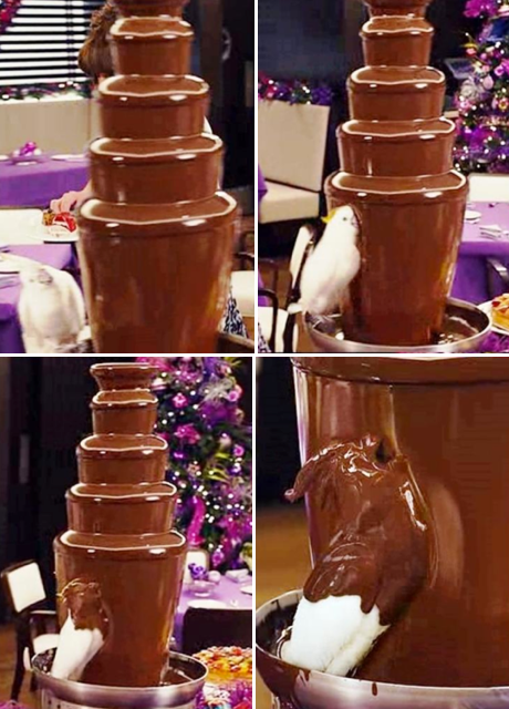 Detail Chocolate Fountain Bird Meme Nomer 20