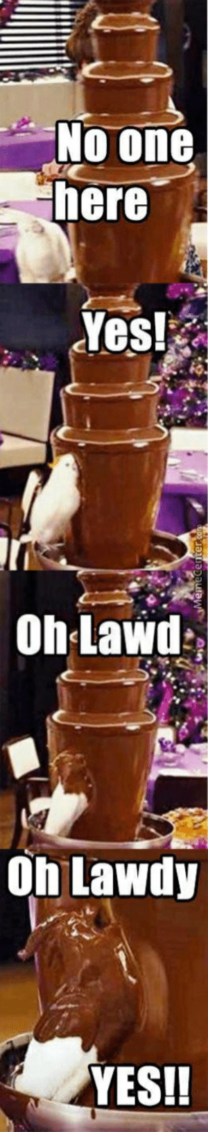 Detail Chocolate Fountain Bird Meme Nomer 38