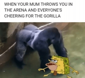 Detail Chocolate Gorilla Meme Template Nomer 42