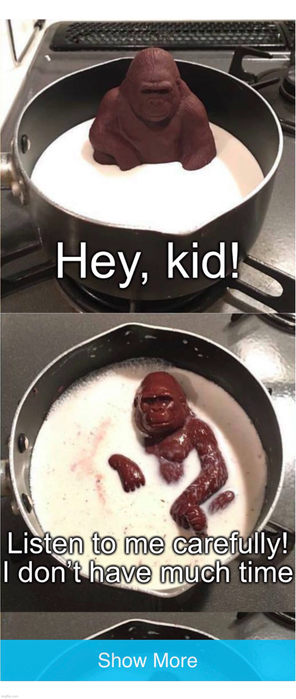 Detail Chocolate Gorilla Meme Template Nomer 6