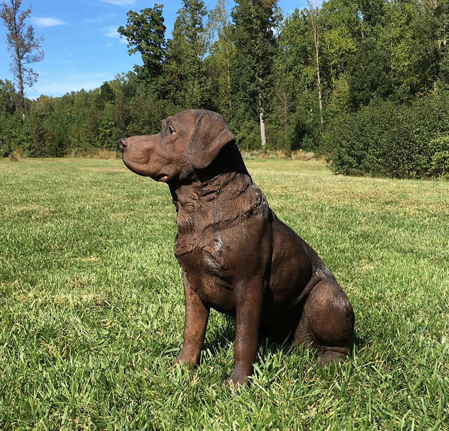 Detail Chocolate Labrador Statue Nomer 2