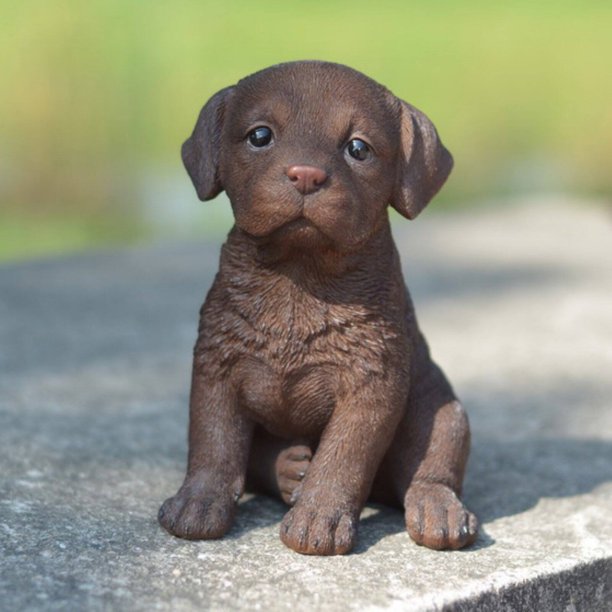 Detail Chocolate Labrador Statue Nomer 20