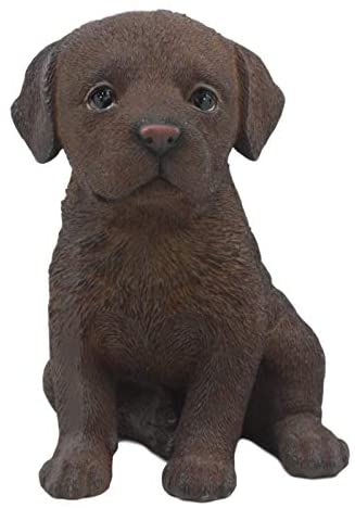 Detail Chocolate Labrador Statue Nomer 25