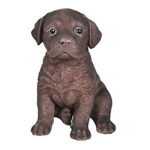 Detail Chocolate Labrador Statue Nomer 28