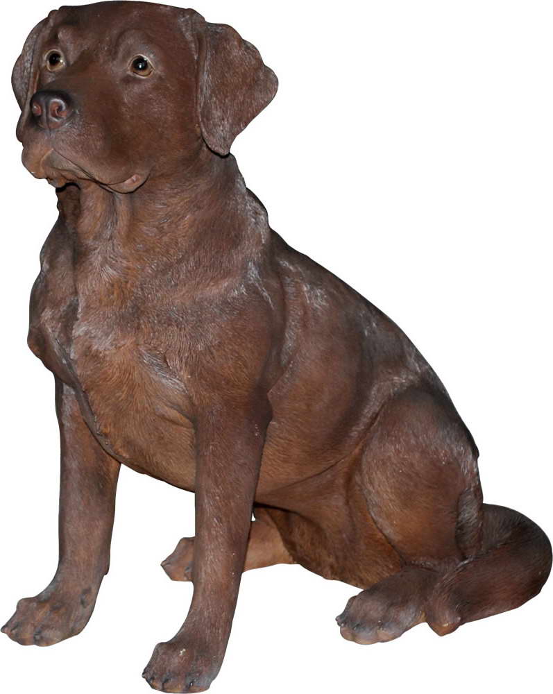 Detail Chocolate Labrador Statue Nomer 42