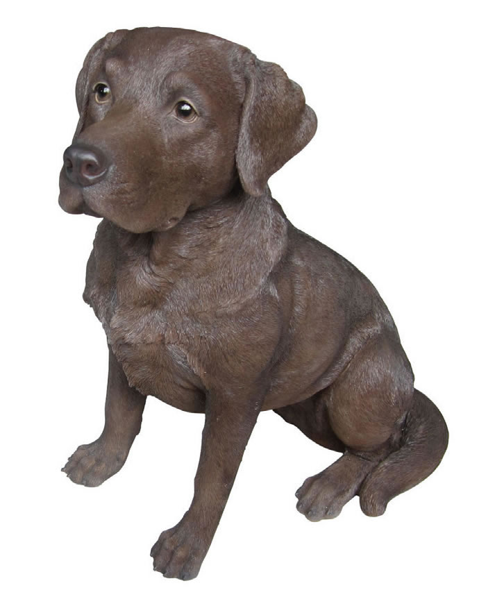 Detail Chocolate Labrador Statue Nomer 5