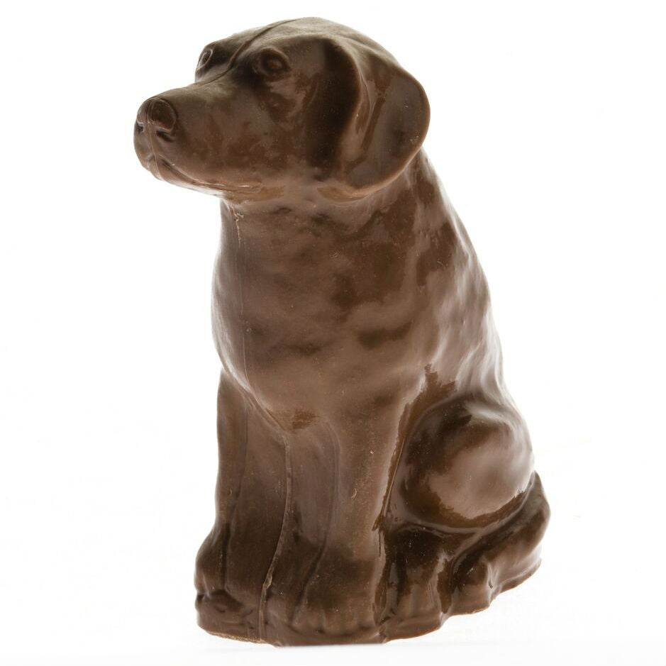 Detail Chocolate Labrador Statue Nomer 57