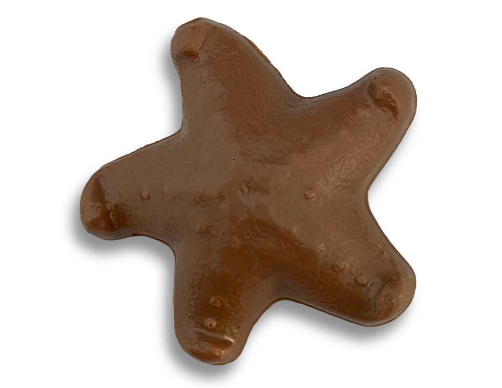 Detail Chocolate Starfish Pics Nomer 16