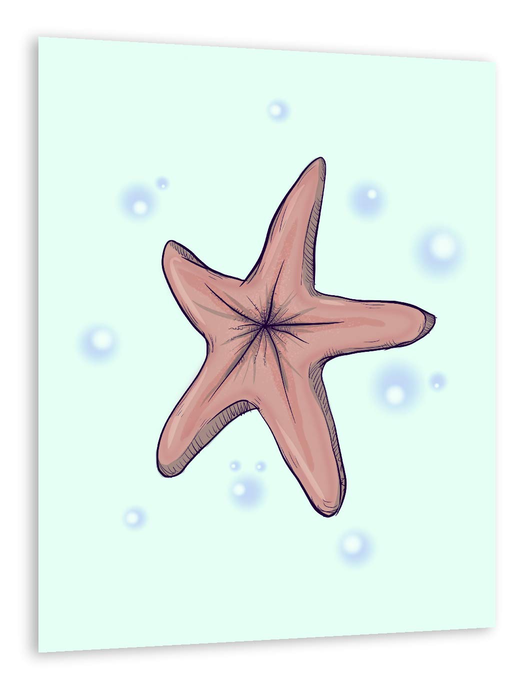 Detail Chocolate Starfish Pics Nomer 3