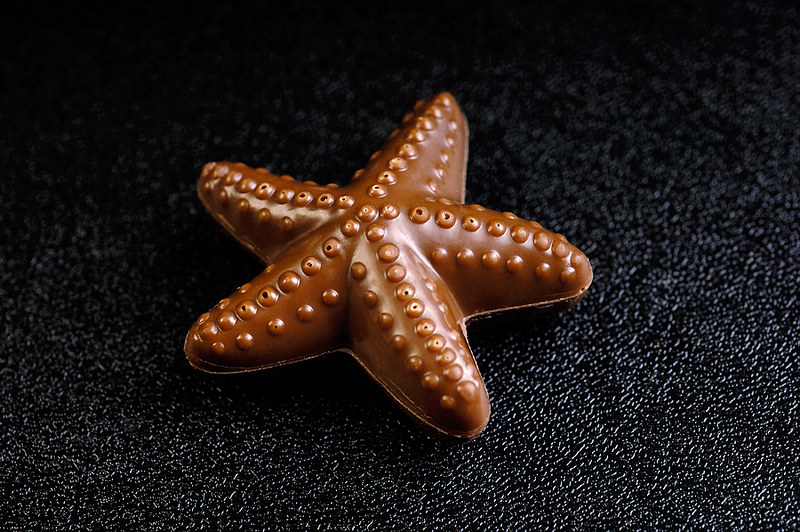 Detail Chocolate Starfish Pics Nomer 41