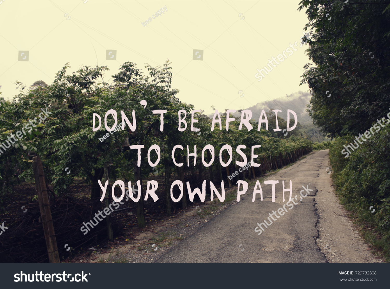 Detail Choosing Different Path Quotes Nomer 26