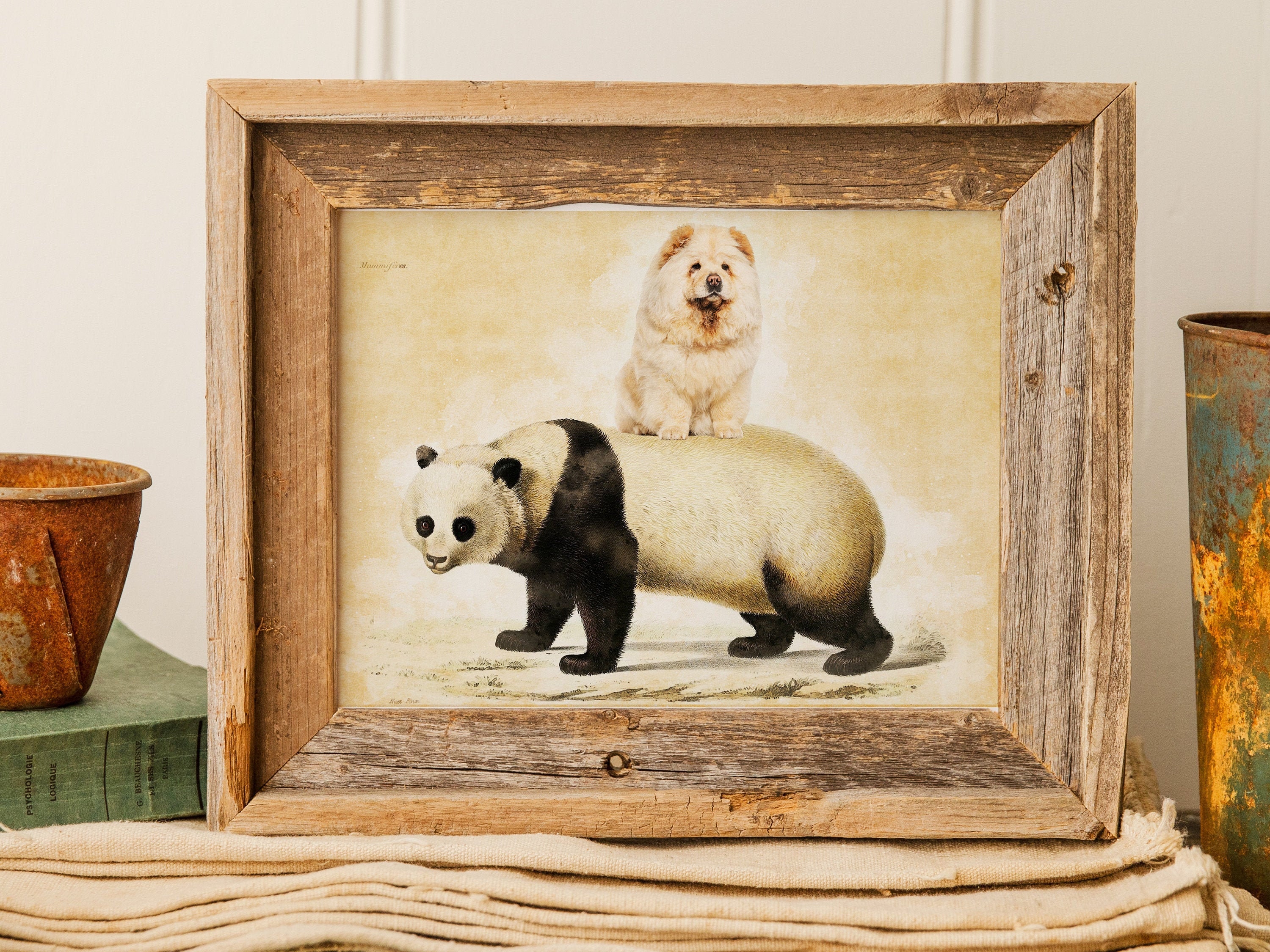 Detail Chow Chow Panda Nomer 54