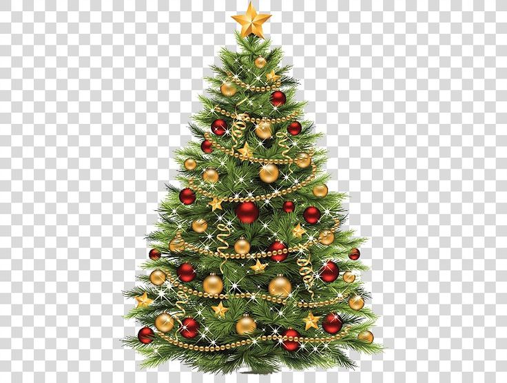 Detail Chrismas Tree Png Nomer 49