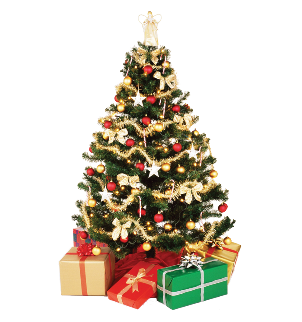 Detail Chrismast Tree Png Nomer 40