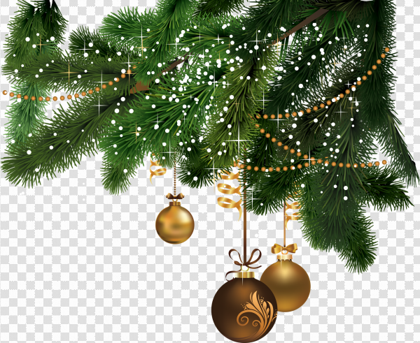 Detail Chrismast Tree Png Nomer 45