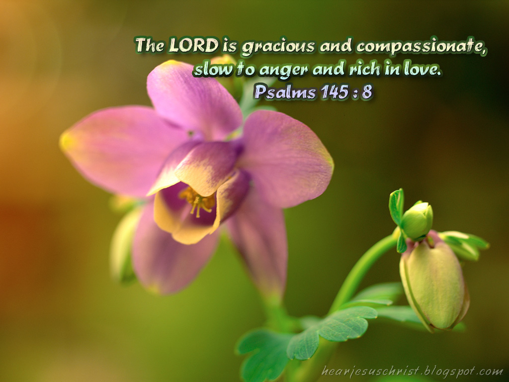 Detail Christian Images Free Download Nomer 12