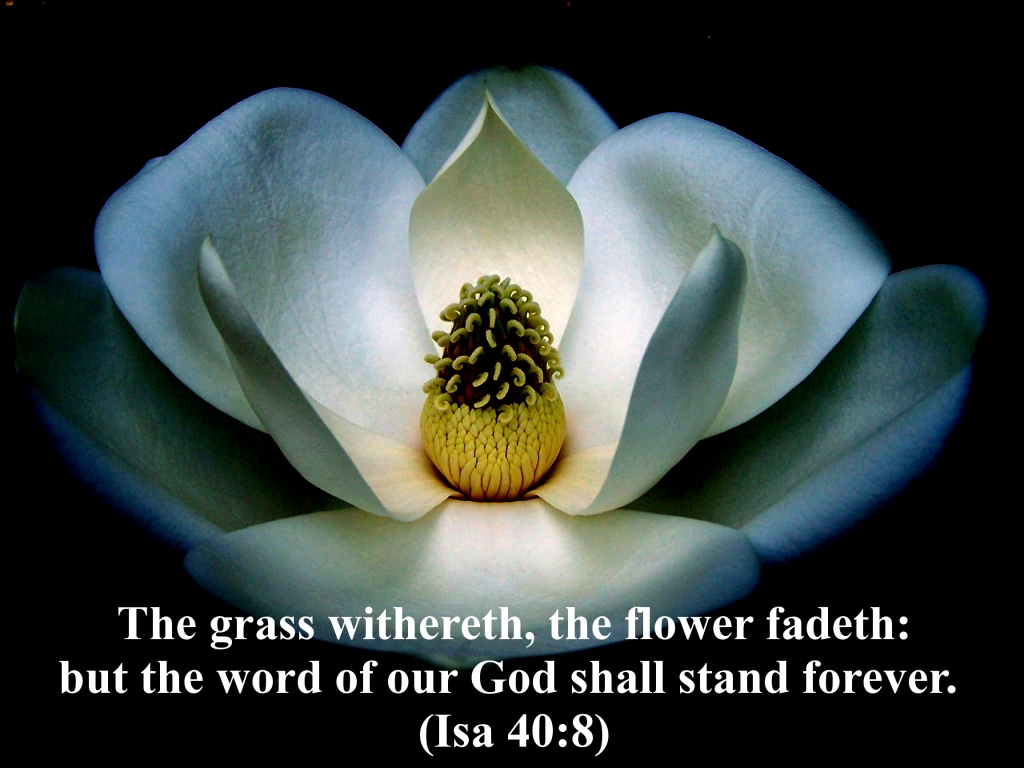 Detail Christian Images Free Download Nomer 14