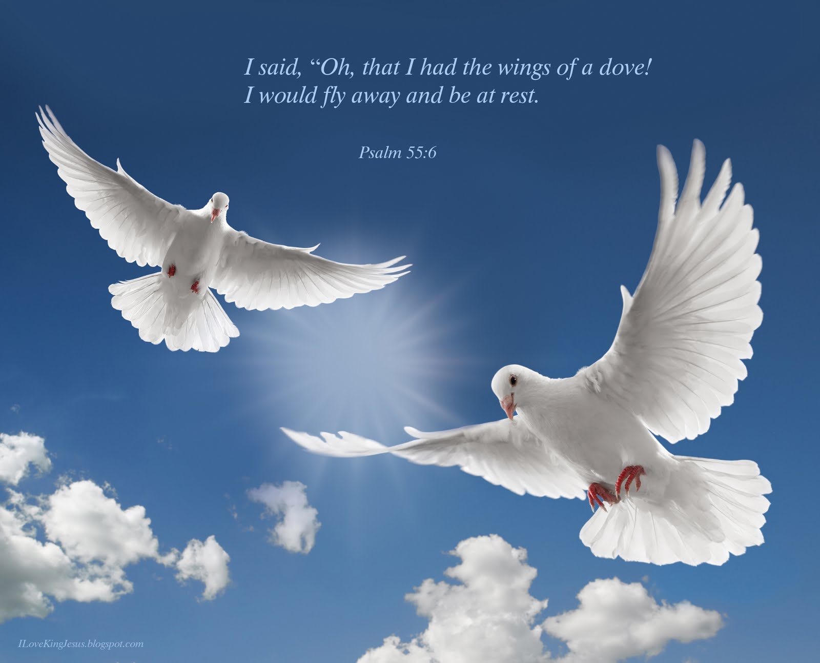 Detail Christian Images Free Download Nomer 4