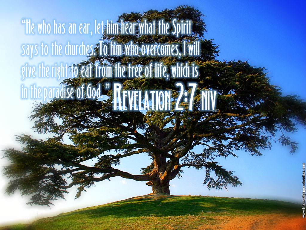 Detail Christian Images Free Download Nomer 34