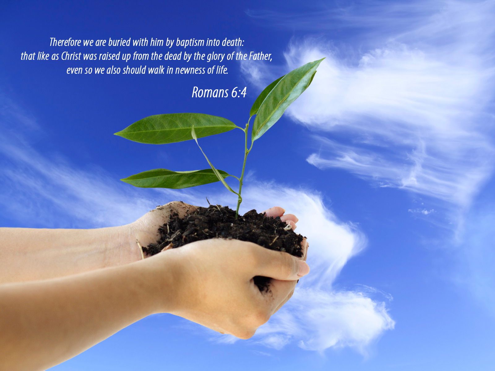 Detail Christian Images Free Download Nomer 51