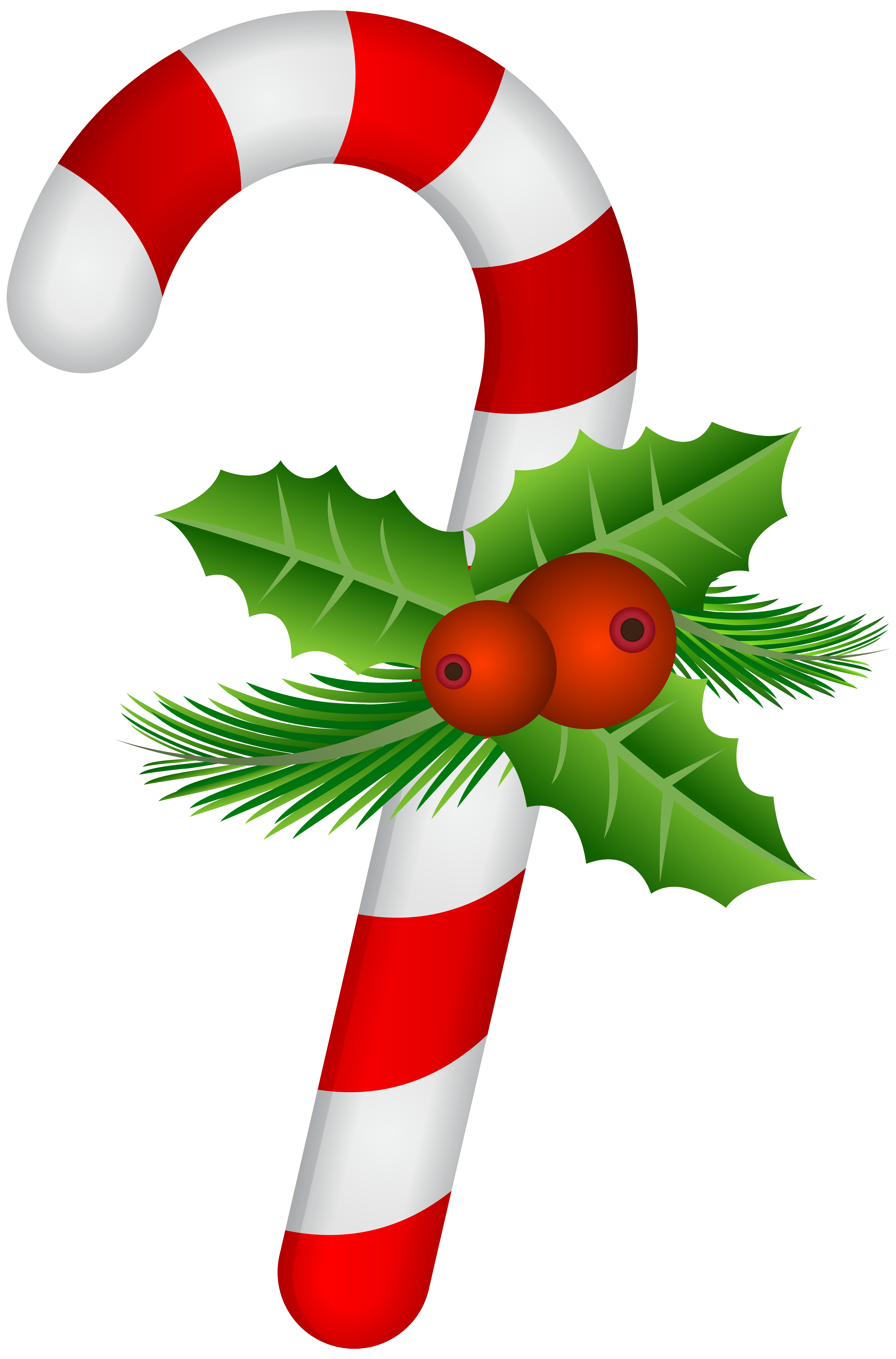Detail Christmas Candy Cane Pictures Nomer 14