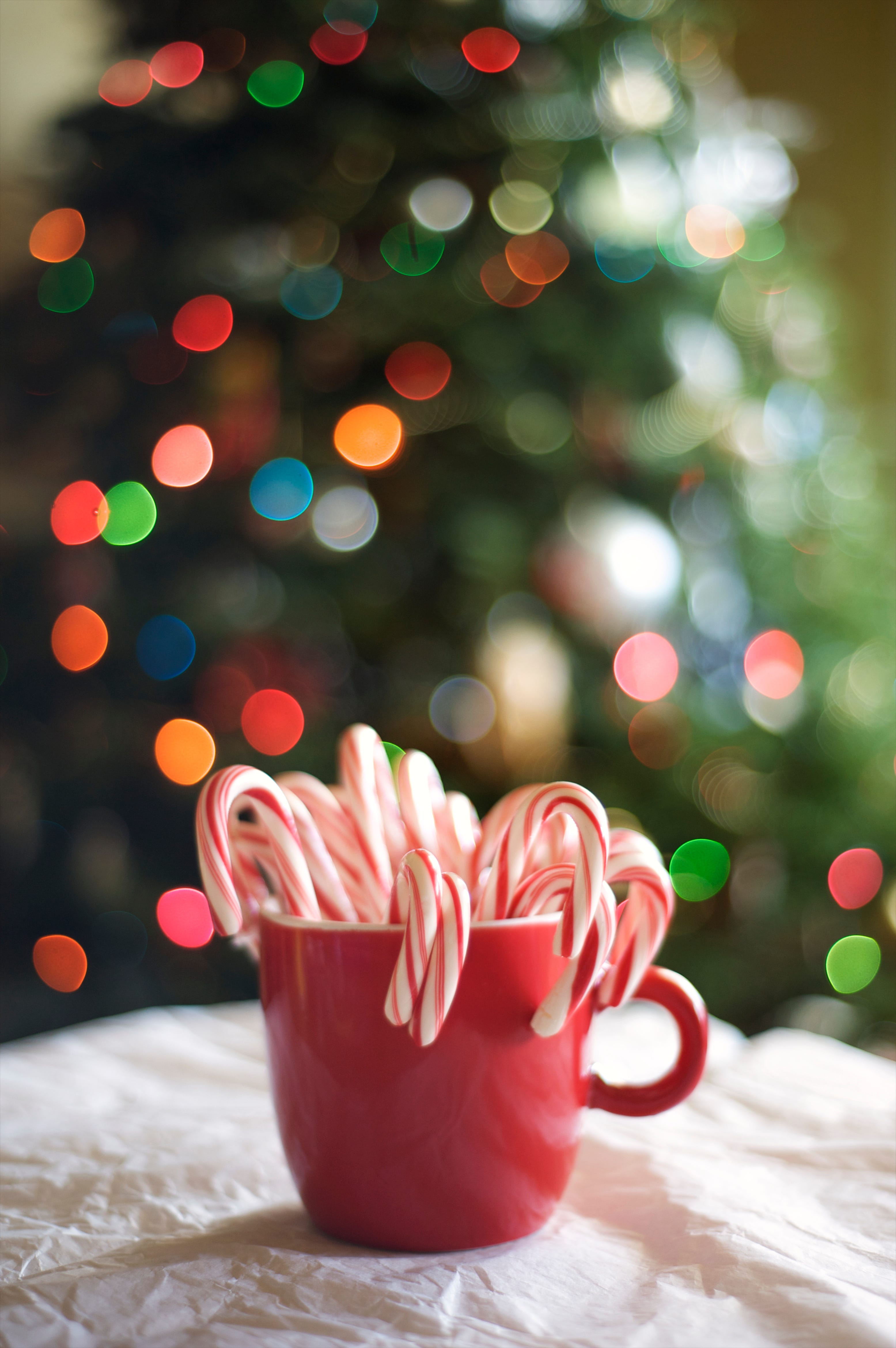 Detail Christmas Candy Cane Pictures Nomer 44