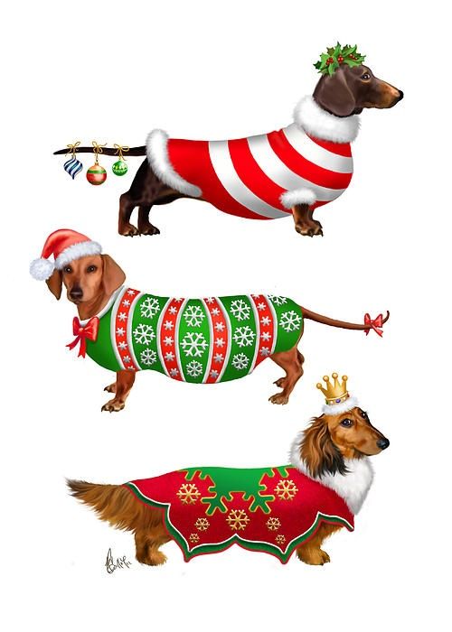 Detail Christmas Dachshund Clipart Nomer 40