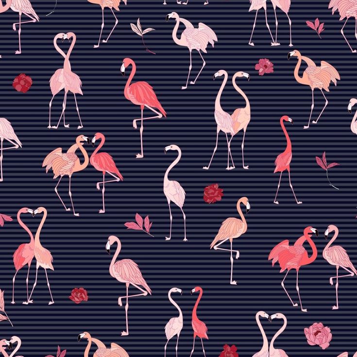 Detail Christmas Flamingo Wallpaper Nomer 42