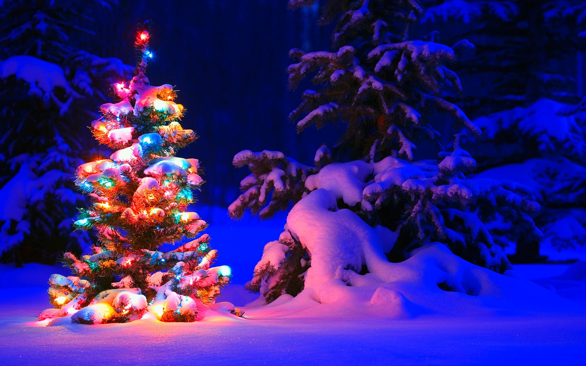 Detail Christmas Hd Wallpaper Nomer 18