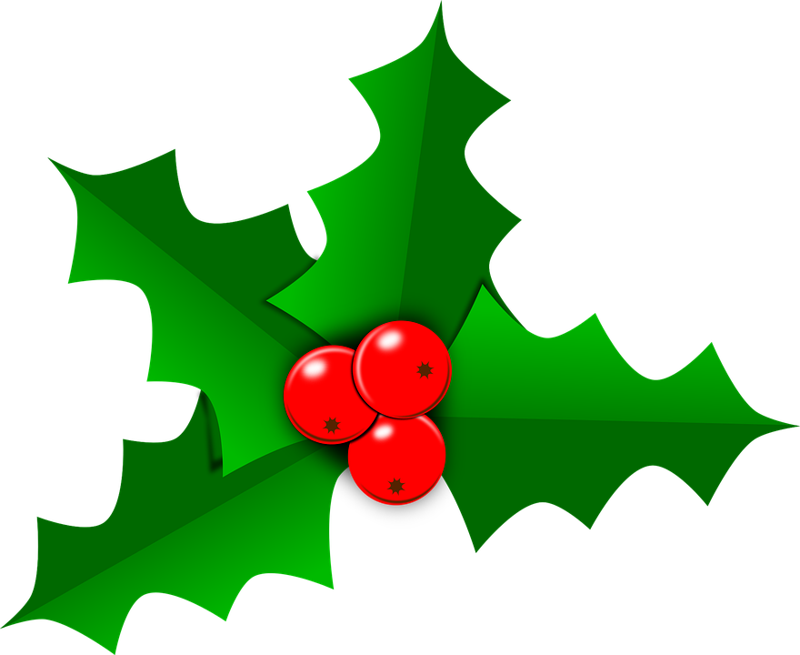 Detail Christmas Leaf Png Nomer 3