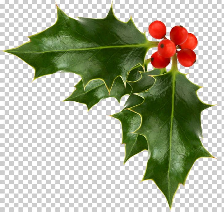 Detail Christmas Leaf Png Nomer 21