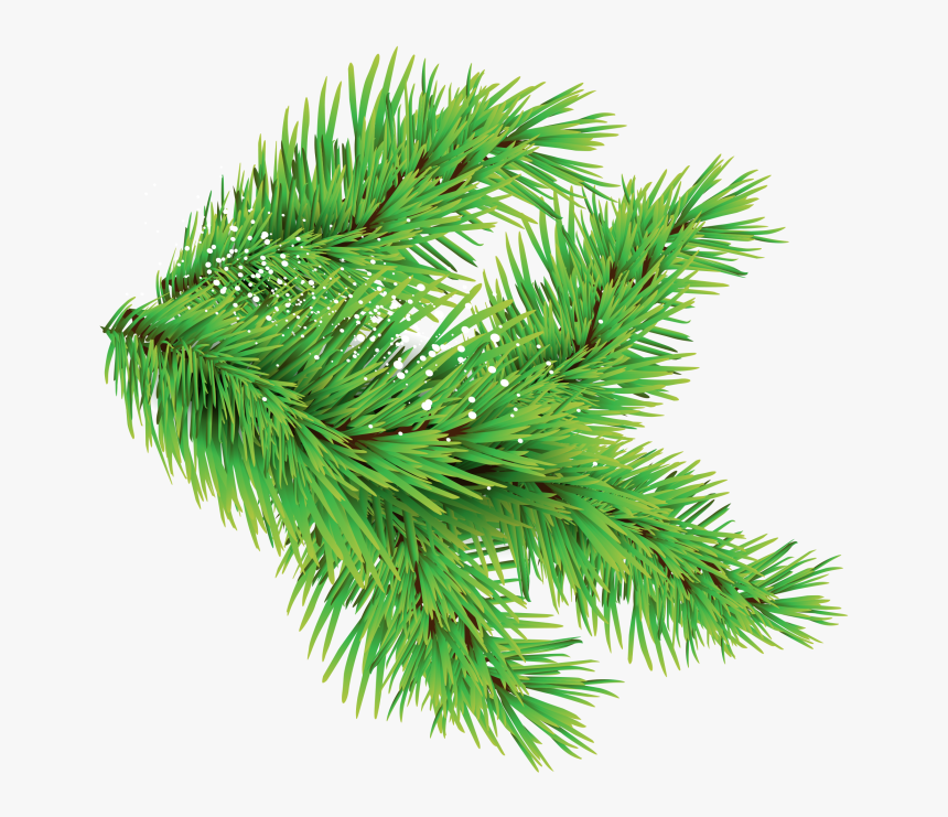 Detail Christmas Leaf Png Nomer 29