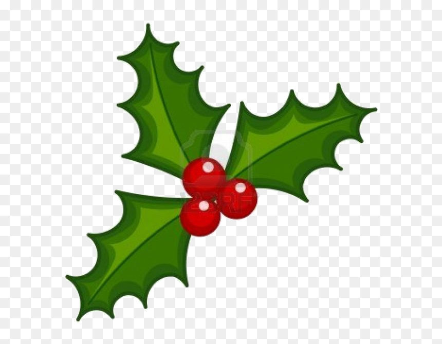 Detail Christmas Leaf Png Nomer 40