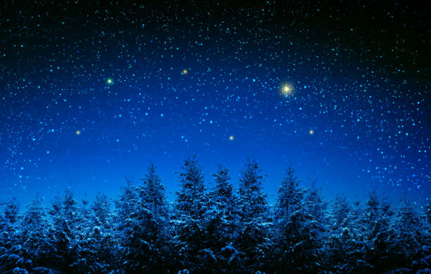 Detail Christmas Night Background Nomer 52