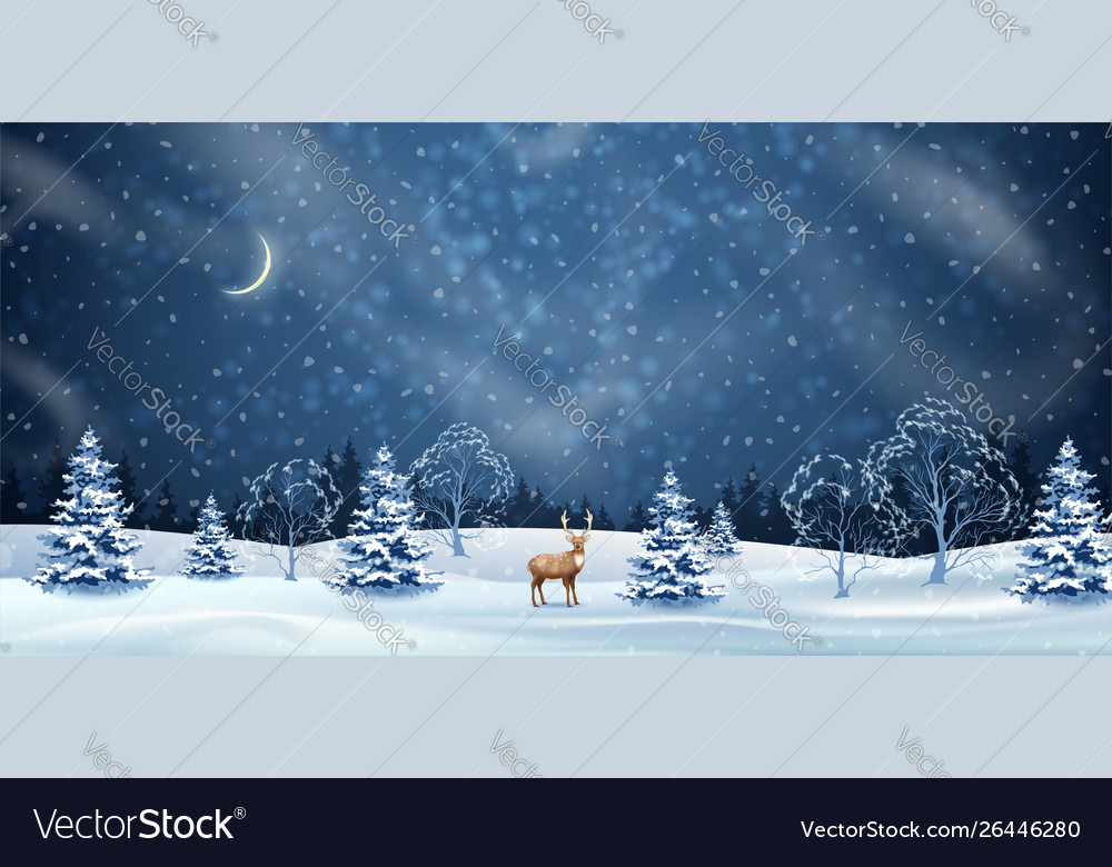 Detail Christmas Night Background Nomer 10