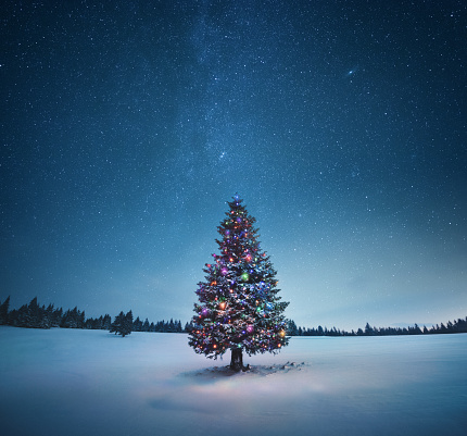 Detail Christmas Night Wallpaper Nomer 18