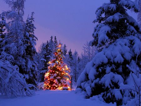 Detail Christmas Night Wallpaper Nomer 39