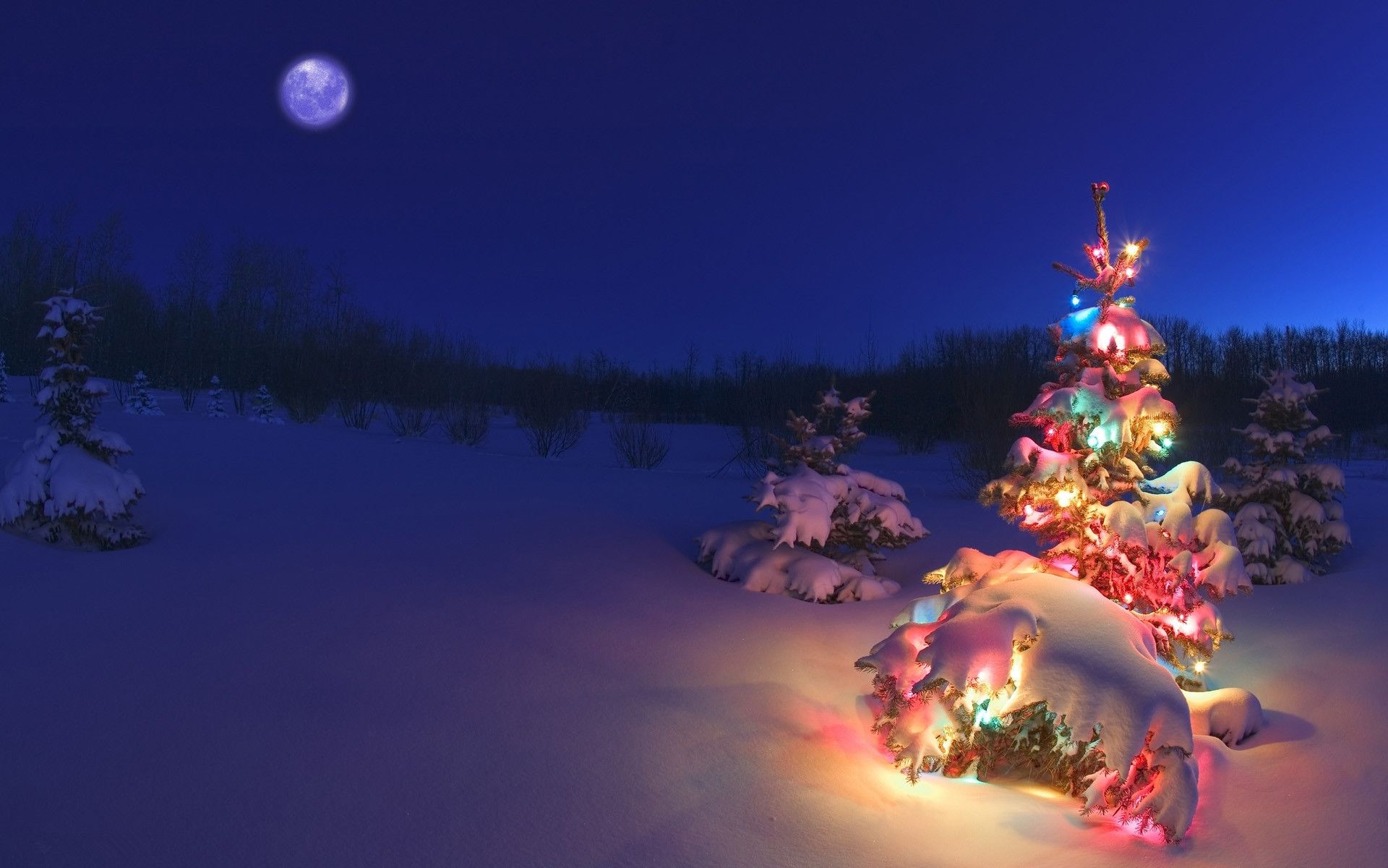 Detail Christmas Night Wallpaper Nomer 6