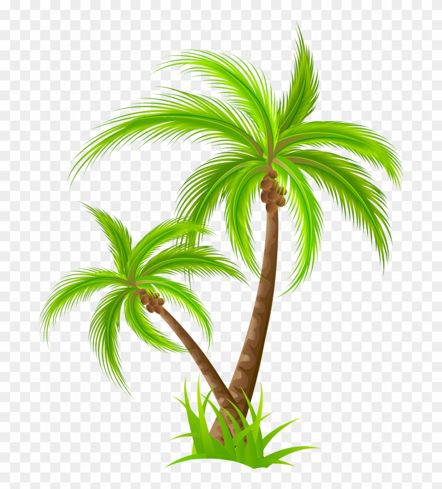 Detail Christmas Palm Tree Clipart Nomer 42