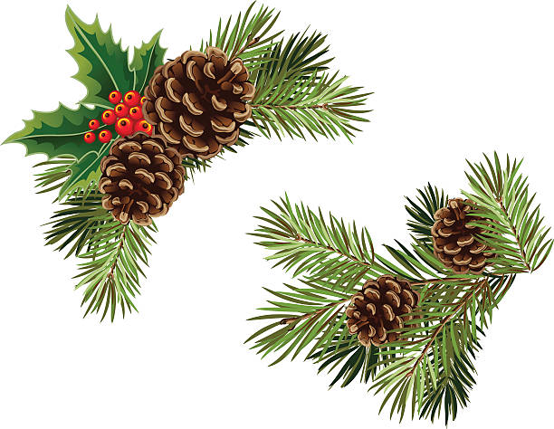 Detail Christmas Pinecone Clipart Nomer 13