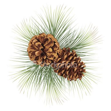 Detail Christmas Pinecone Clipart Nomer 27