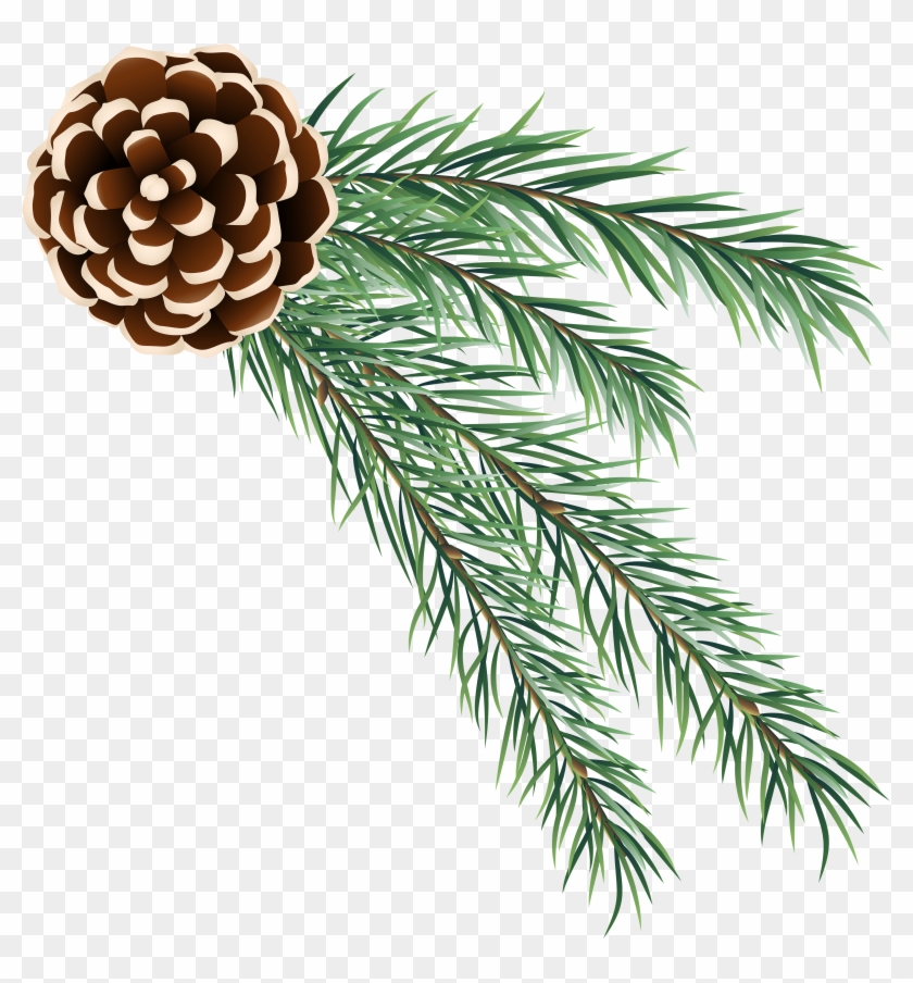 Detail Christmas Pinecone Clipart Nomer 4